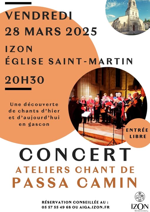 Affiche Izon concert