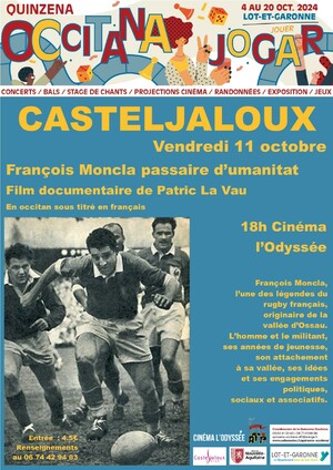 Affiche cinéma castel